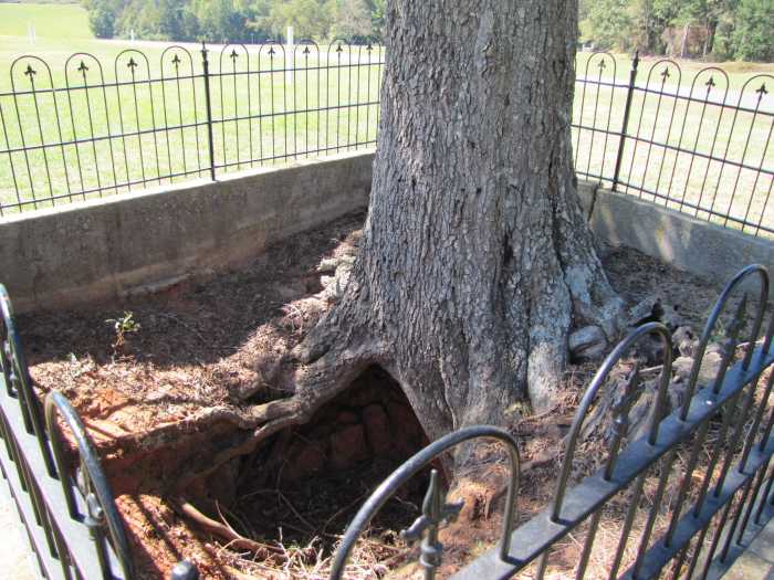 There were almost no trees in the prison stockade, but a tunnel like this could be for shelter from the burning sun or an attempt to escape.