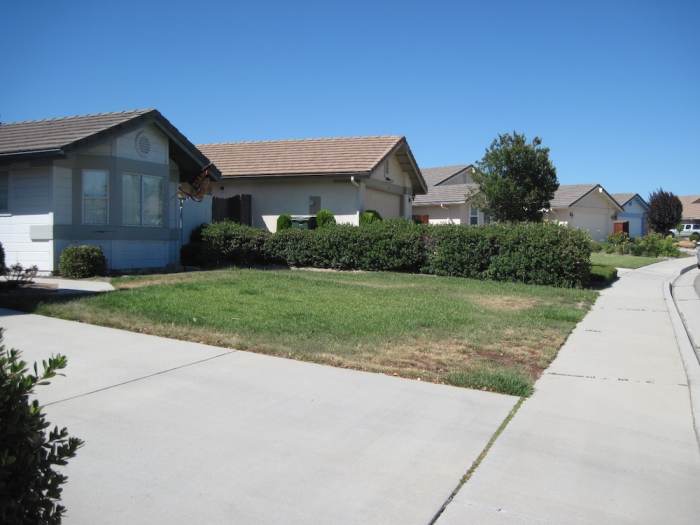 This is how one lawn looked in the middle of summer when water was being rationed in Paso Robles in 2011. Many lawns were almost completely brown.