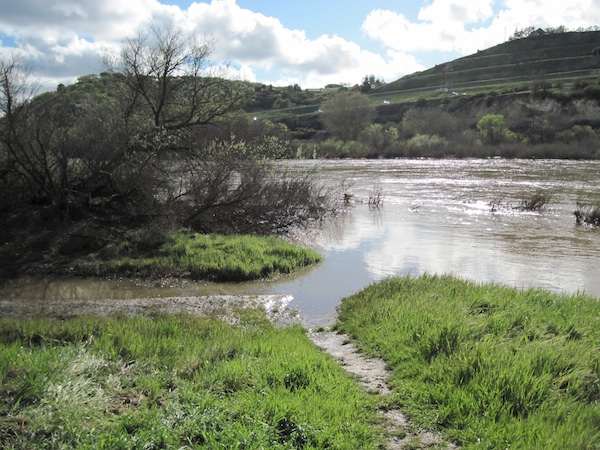The shore remembers how the river water trespassed on it last year.