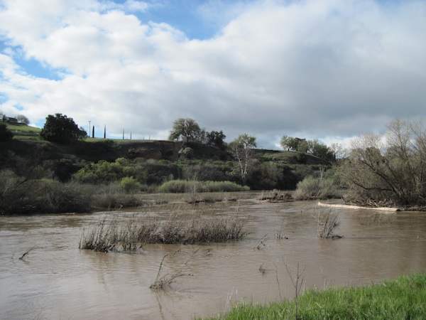 When the rains have fallen, the river flows again, flooding the small plants growing in the river bed and surrounding what are now islands again.