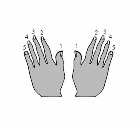 Each of your fingers corresponds to a number you can use to play the notes on your piano keyboard