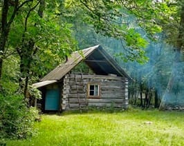 My dream home. A hut in the woods for me. A sober life, a frugal life; dreaming of the light in window