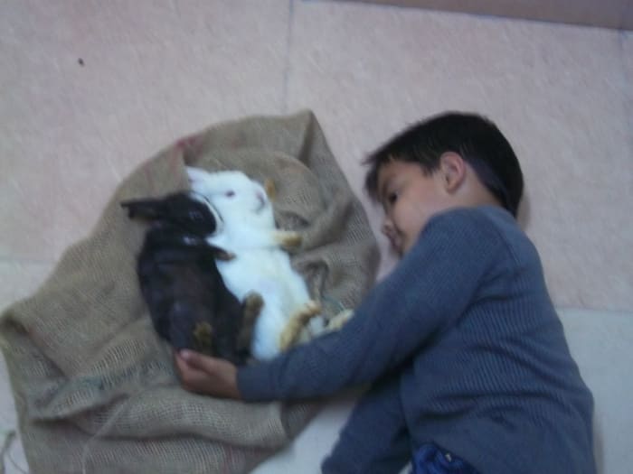 My son used to tell them everything that happened to him at school. The photo is of a regular event that used to take place at my house every afternoon after my son came back from school.