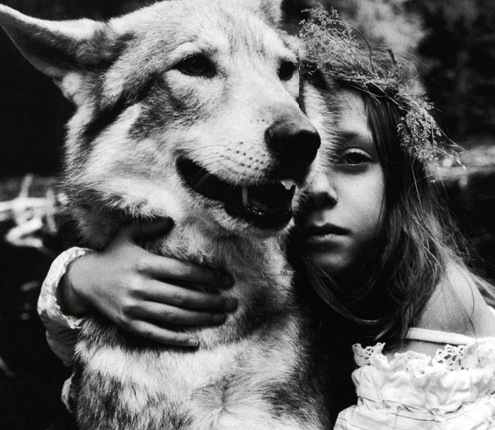 "Wolves and women are relational by nature, inquiring, possessed of great endurance and strength. They are deeply intuitive, intensely concerned with their young, their mate, and their pack." - Clarissa Pinkola Estes