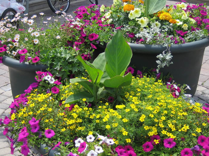 Photo 8 - I love this display, its so cheery!