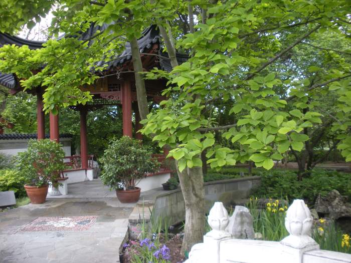 Photo 3 - Showing how you can decorate an entrance to a garden with potted plants. A Chinese Garden.