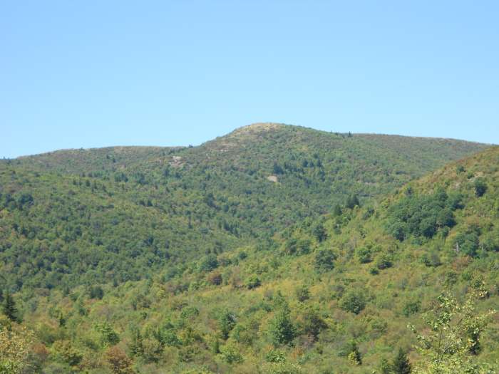 Black Balsam Knob. Campers can leave from Graveyard Fields or Black Balsam overlooks and hike into the back country of Shining Rock Wilderness Area.