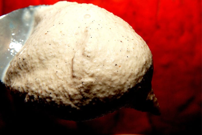 Three Twins Dad's Cardamom ice cream - You can see the specs of spicy goodness in every spoonful!