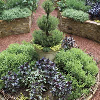 Add some height to the center of a flowerbed by placing a very vertical potted plant in the middle. Here, a potted rosemary topiary rises above the other edibles in this bed.