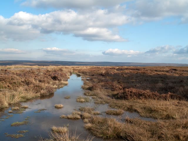 This is your walk route from the Rosedale Abbey to Castleton road - duckboards further on, then stone infill to get you past the "Blue Man i't' Moss" - and on to the Egton-Pickering road and beyond