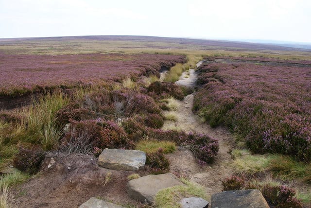 Further on eastward from Fat Betty the state of the track on Rosedale Moor calls for vigilance in avoiding injury, although the enjoyment is still there. Walkers should wear strong footwear and carry weatherproofs.