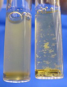 Platelet rich human blood plasma in the left vial. Plasma with a low platelet count in the right vial.