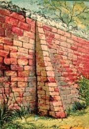 Drawing of a red brick garden wall. We see a tree peaking out over the top of the wall and some grass growing on the outside. What wonders could be hiding behind these bricks? Joseph Martin Kronheim (1810-1896)