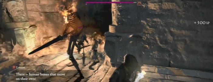 Dragon's Dogma Ward of Regret defeat the skeleton brute and its minions, using fire spells and swiftly running around and avoiding their attacks.