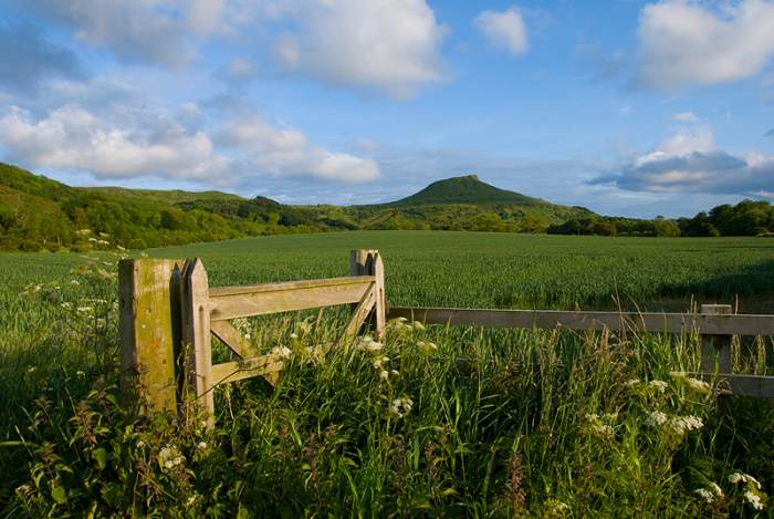The view across from Guisborough Forest to Roseberry Topping in the west - little remains of the ironstone workings in this area, a series of small mines such as Cod Hill, Ayton Moor and Roseberry