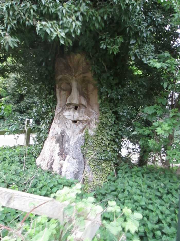 Tree sculpture in the nature park - close by the car park. The nearby trackbed is now a cycle/walking path from near the site of Nunthorpe Junction to Hutton Gate near Guisborough