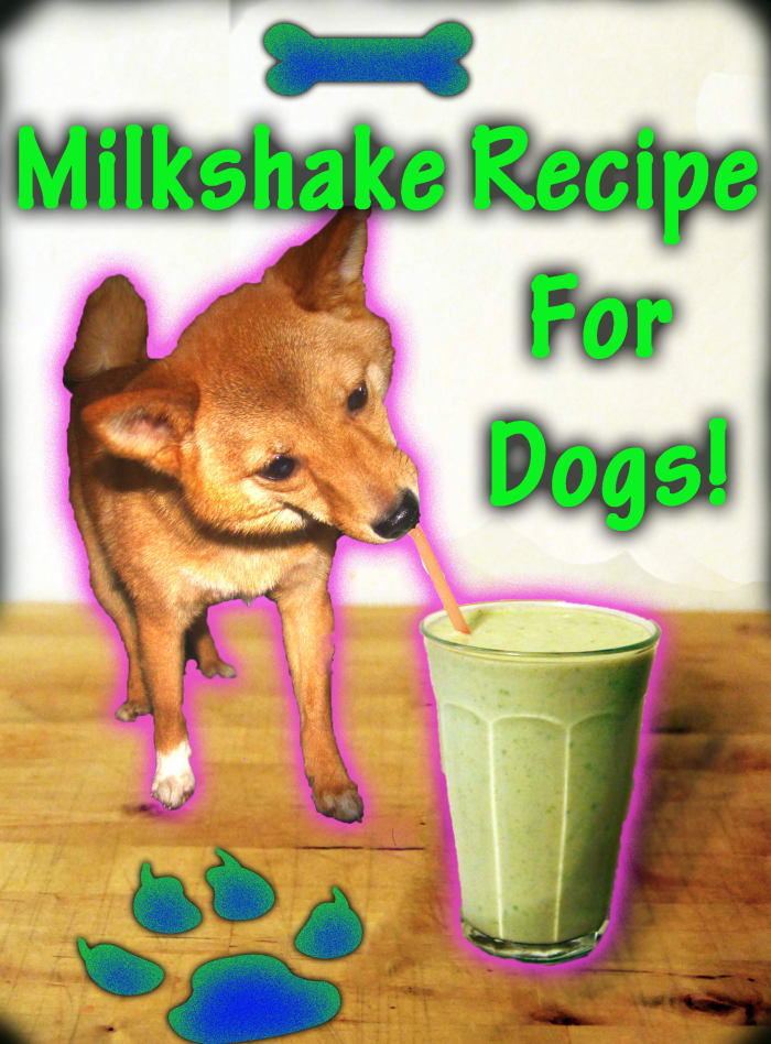 Make a quick, healthy, and delicious milkshake for your dog with this recipe! Make it now, freeze it for later as ice cream as well!