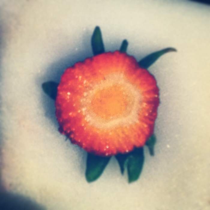 Ordinary objects can be quickly transformed into miniature masterpieces using a smartphone app like Instagram.