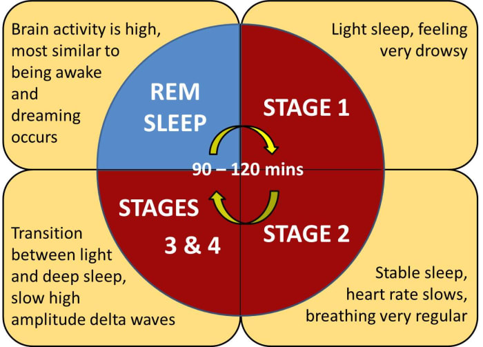 What are dreams? They are the imagery and sensations we experience while we are asleep which occur during the Rapid Eye Movement (REM) stage of the sleep cycle