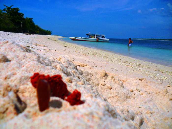 Great Santa Cruz Island with its "pink" sand