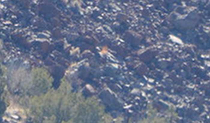 An optical illusion of an image obtained from a drone that could possibly be a body, but it's not a body, it's a reflection or flare. Searchers are carefully and precisely picking apart photos obtained from the drones to help find Randy.