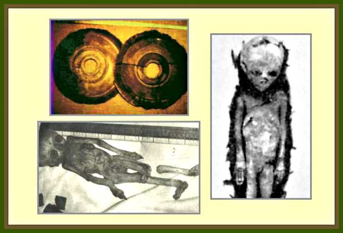 Humanoid skeleton of Baian-Kara-UlaGli skeletons, measuring a little more than a meter and thirty centimeters in height, had a fragile appearance and hexyl and a skull with a wide skull, disproportionate to the rest of the body.