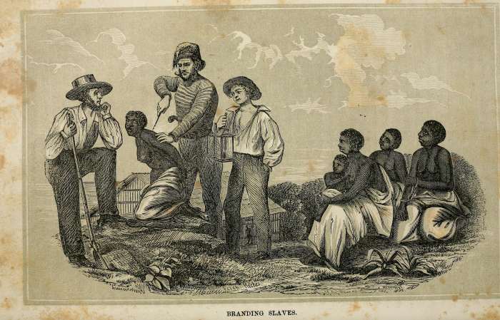 science-support-of-slavery
