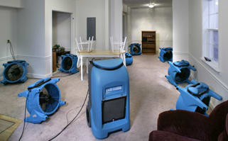 It is common for professional cleaning services to deploy industrial machines to dry out wet carpet.
