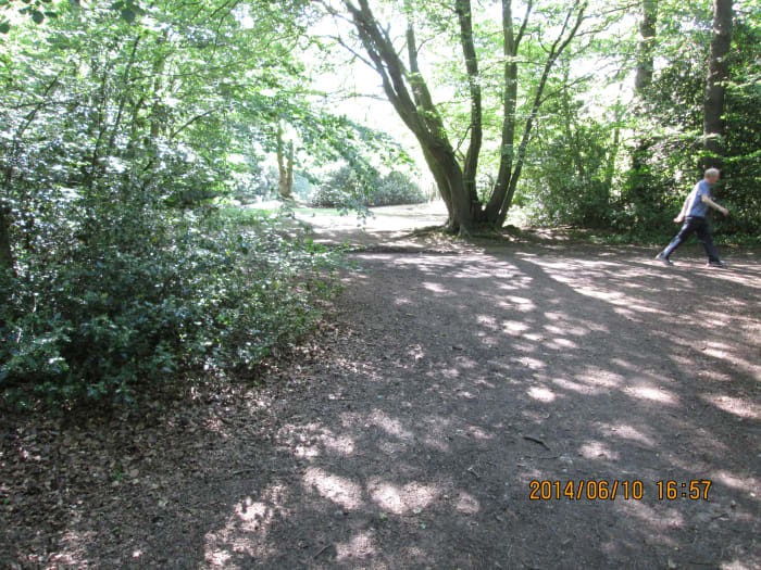 After crossing the road a bridle/footpath passes a couple of meres or small lakes. This is looking back to the bridle path from the path down through the wood to a small common