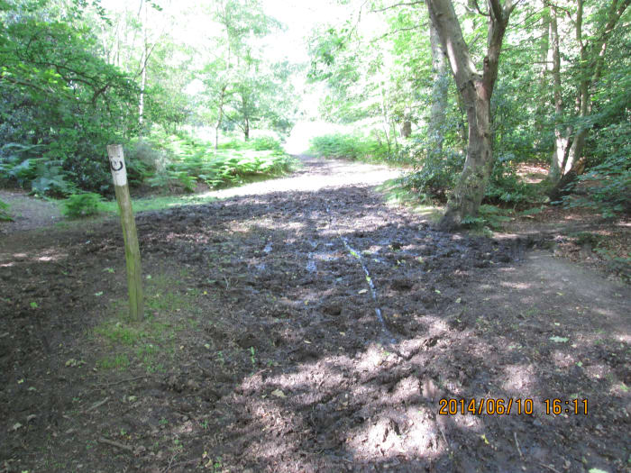 ...And this is the view looking the other way, well used by cyclists, trampled by horses...