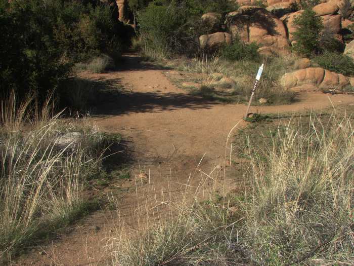 Crossroads are a common power place for Hoodoo practitioners to perform rituals and dispose of ritual remains.