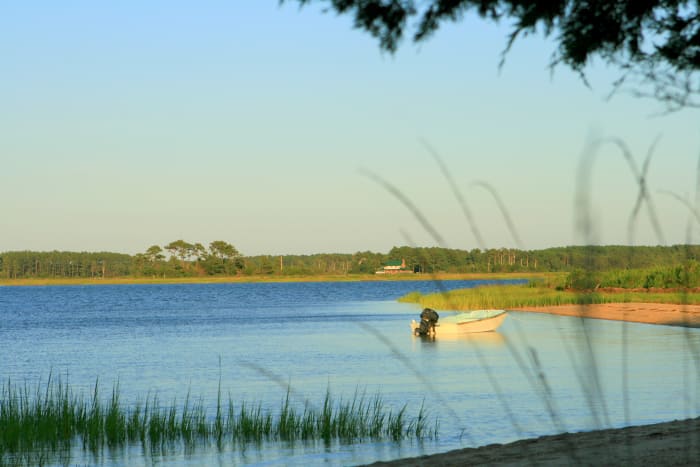 This photo was taken from a tiny, secluded island beach just off of Guards Shore, Virginia, U.S.A., where several local watermen report having sighted a very large creature while working in the bay... Might it have been Chessie?