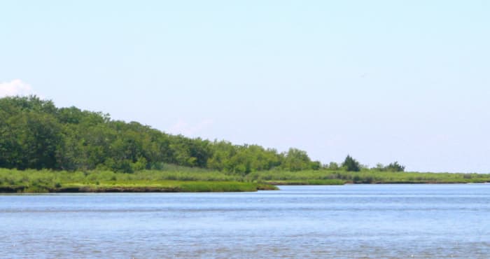 The Chesapeake Bay calmly washes the shorelines of quite a few tiny, uninhabited islands This photo was taken during a day trip out of Guards Shore, Virginia, U.S.A.