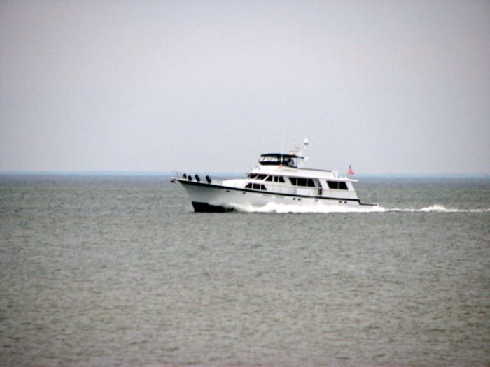A boat passes through a portion of Chessie's Chesapeake Bay home on the southern tip of the Eastern Shore of Virginia. This photo was taken in Cape Charles, Northampton County, Virginia.