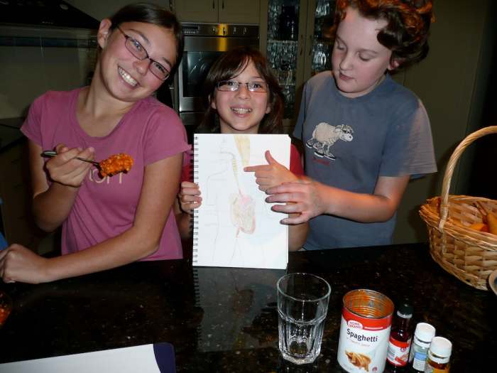 Pointing out on Sarah's drawing of the digestive system, where the food travels down the esophagus.