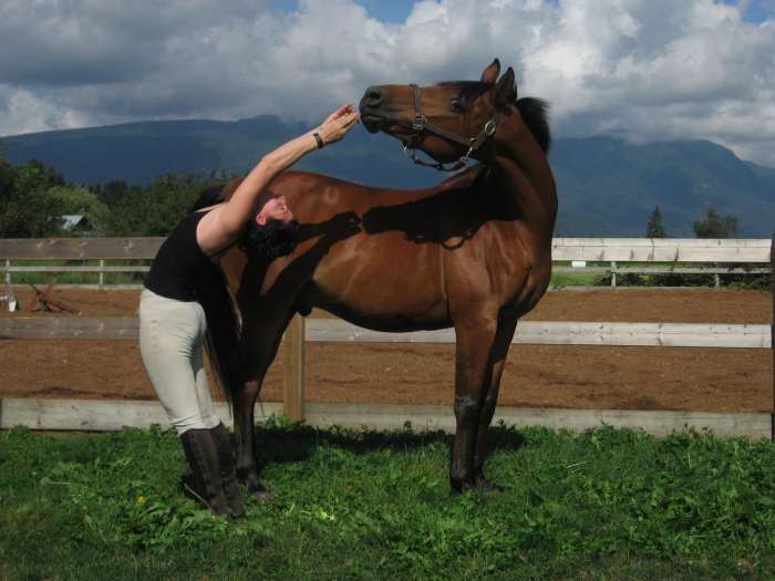 The more advanced Neck Side Stretch sees the person do a Standing Back Bend while the horse looks round and improves its flexibility