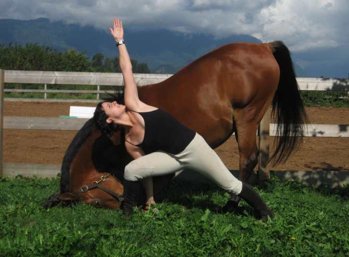 The Bow is more advanced and sees the horse push its head to the ground to stretch its back. It also learns to remain calm in a vulnerable position