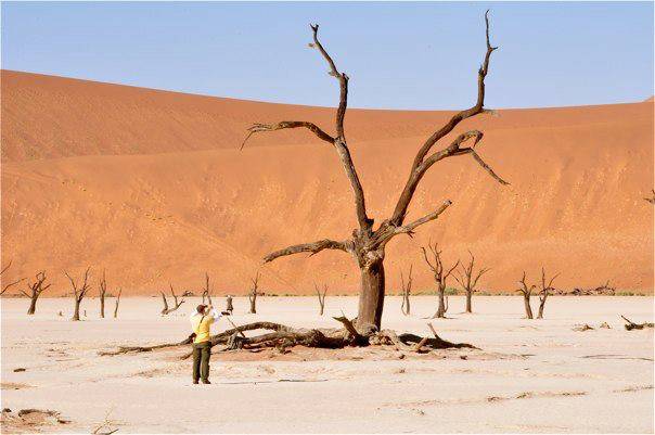 Skeleton Coast, Namibia © Mark Bielawny ~ http://www.africatravelresource.com/africa/namibia/nw/skeletoncoastnorth/guide/when-to-visit/