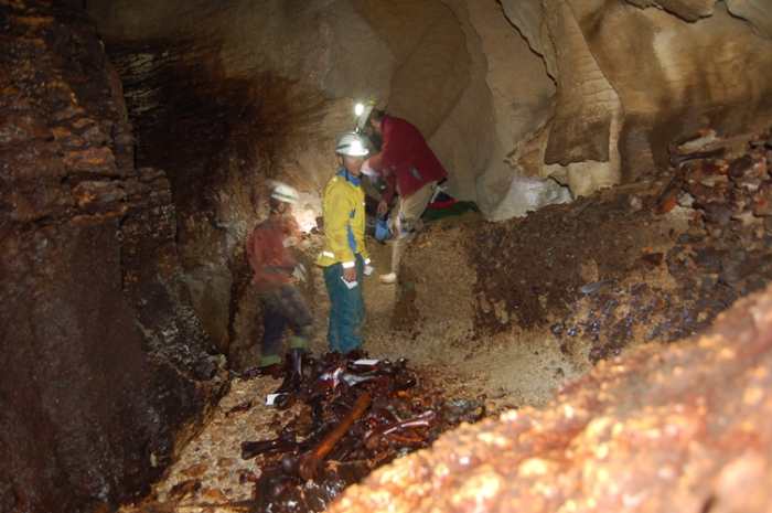 This cave contains a bone deposit all belonging to the moas' which once roamed widely across New Zealand.