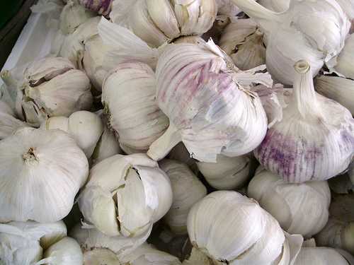 Garlic not only protects against the vampire but the evil eye too.