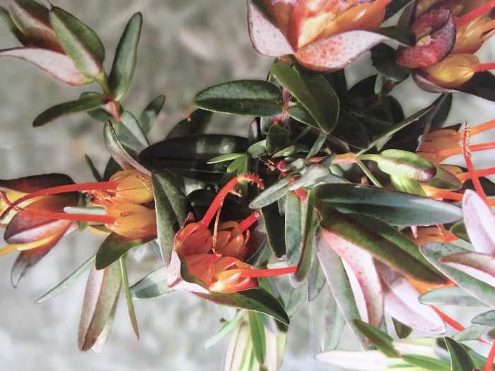 "I don't think too much about the misfortunes ahead, except for the rain," I explained, walking in the warm sunshine to my secret spot in the garden."