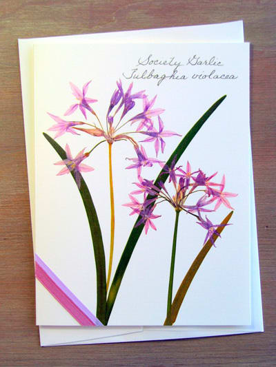 There are hundreds of projects you can make with pressed flowers, from bookmarks and greeting cards to decorated lampshades and resin pendants.