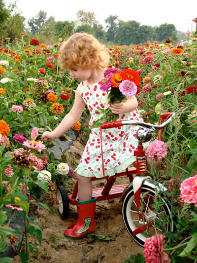 Children love picking flowers and drying them in the microwave! Flower pressing is more fun when you don't have to wait weeks for results.