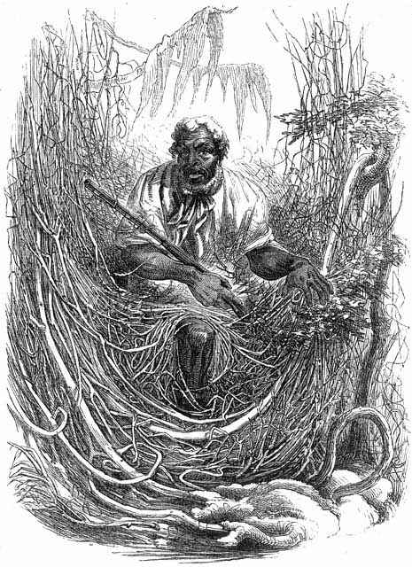 originally published in Harper’s New Monthly Magazine, 1856 Osman, an escaped slave in the North Carolina part of the Great Dismal Swamp, 1856. public domain