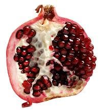pomegranate fruit