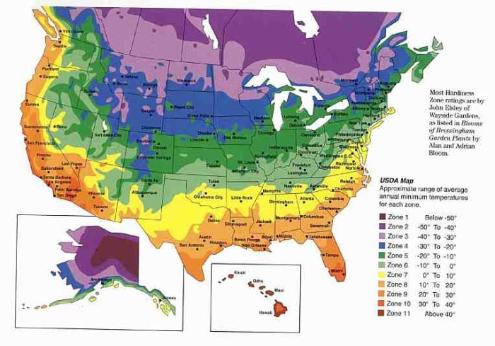 Vancouver Island lies within hardiness zone 5, which presents a challenge when sprouting tropical limes. Folks in warmer zones are probably wondering what all of the fuss is about :-)
