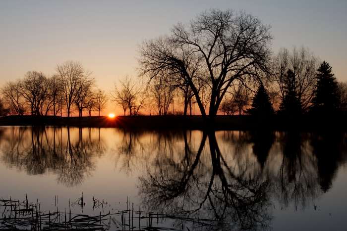 Earth waking up as the Sun beginning to light up things on Earth on a new day.