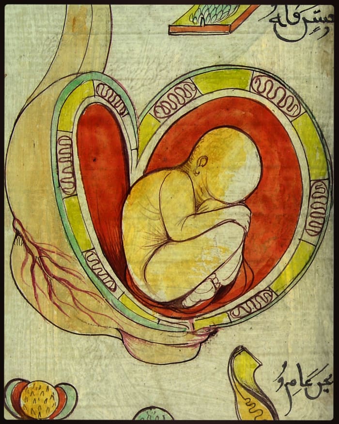 mercy-and-womb