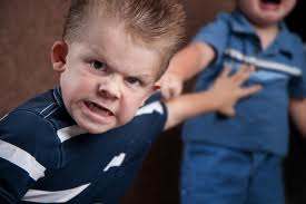 Contrary to the belief that children from large families interact well w/ others, it has been authenticated that children from large families are highly territorial of their space & belongings as result of forced sharing during their formative years.