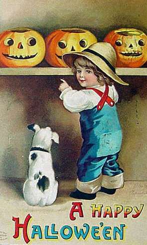 Look, Spot!  Three Jack-o-lanterns!